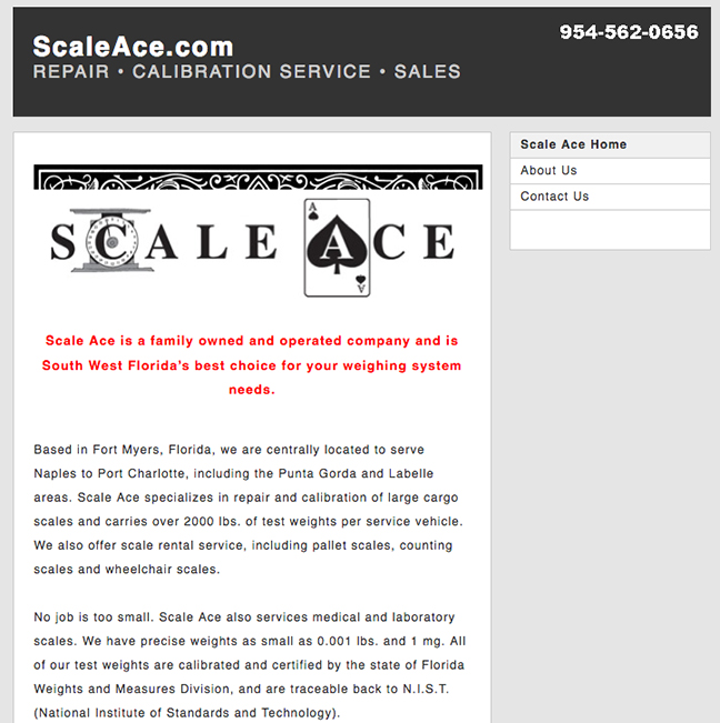 Scaleace.com
